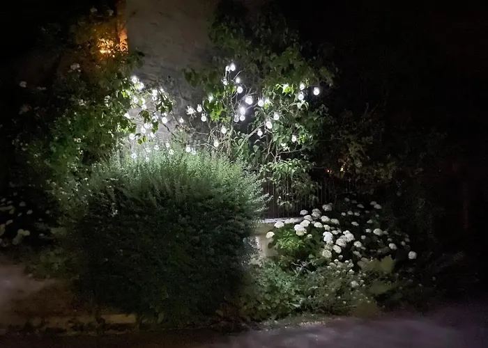 Bulles & Bubbles... Juvancourt